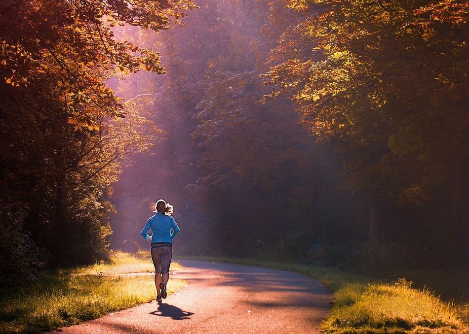 fitness courir