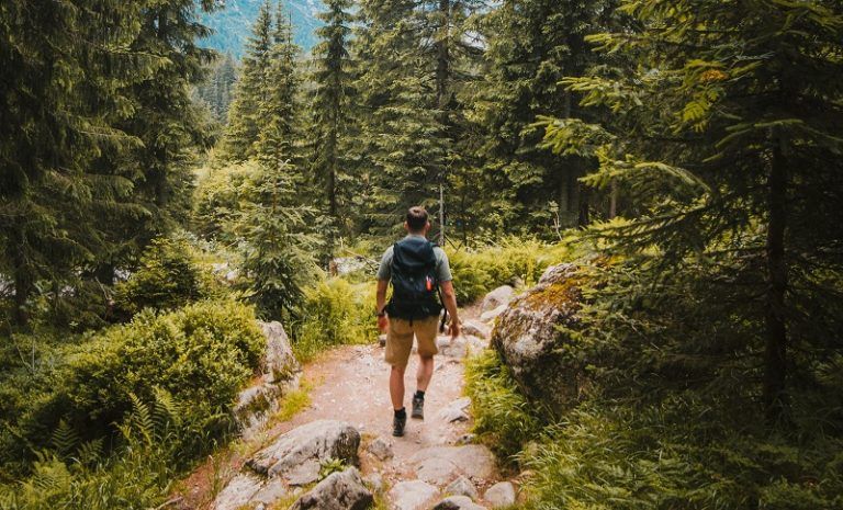marcher nature