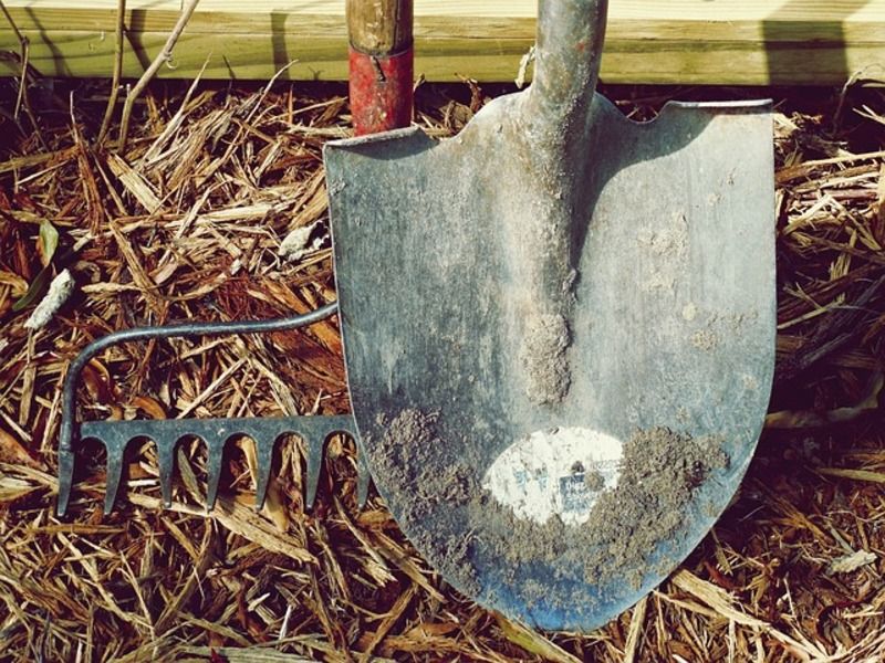 Une pelle et un râteau pour les travaux de jardinage